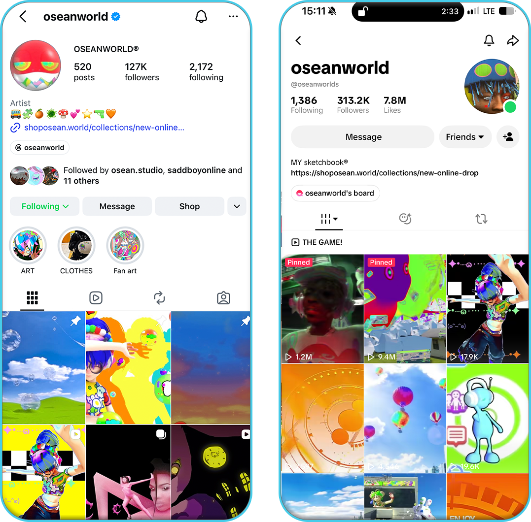 Oseanworld Instagram and TikTok profiles